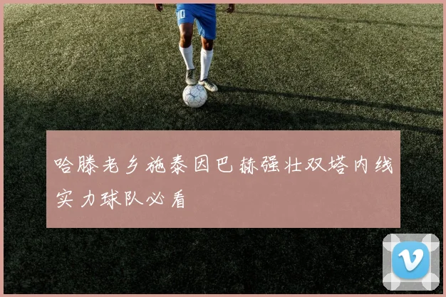哈滕老乡施泰因巴赫强壮双塔内线实力球队必看