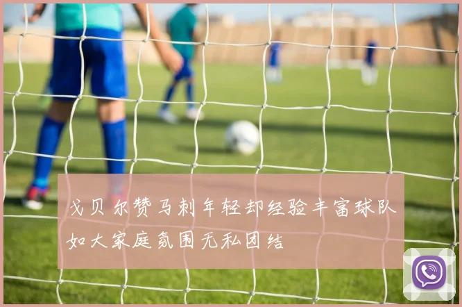 戈贝尔赞马刺年轻却经验丰富球队如大家庭氛围无私团结