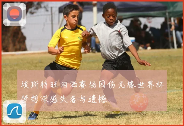 埃斯特旺泪洒赛场因伤无缘世界杯梦想深感失落与遗憾