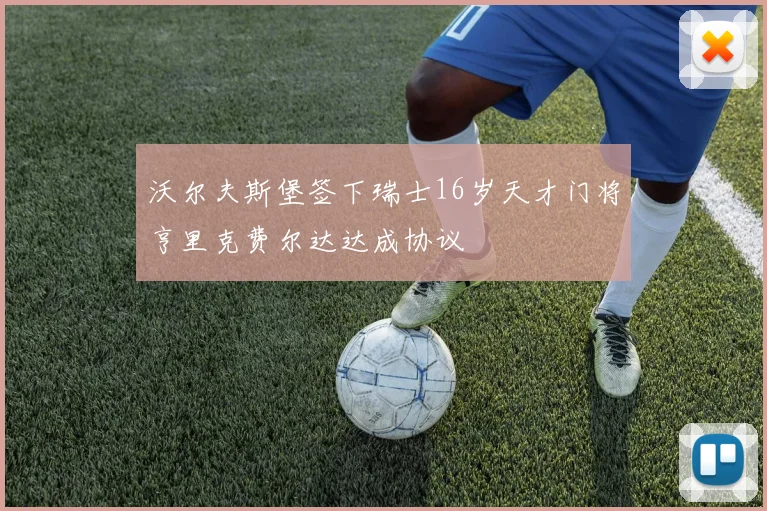 沃尔夫斯堡签下瑞士16岁天才门将亨里克费尔达达成协议